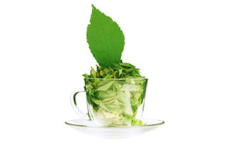 绿茶十大品种