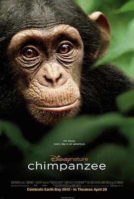 妇女与黑猩猩杂交视频