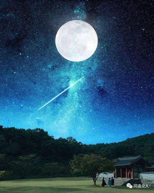 云画的月光韩剧免费观看